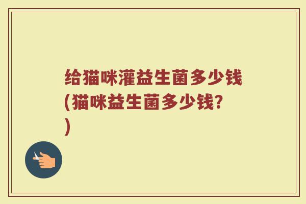 给猫咪灌益生菌多少钱(猫咪益生菌多少钱？)