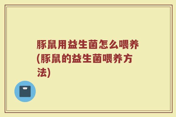 豚鼠用益生菌怎么喂养(豚鼠的益生菌喂养方法)