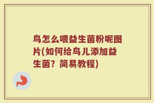 鸟怎么喂益生菌粉呢图片(如何给鸟儿添加益生菌？简易教程)