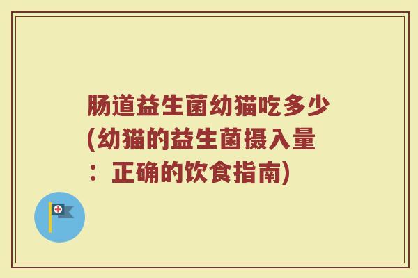 肠道益生菌幼猫吃多少(幼猫的益生菌摄入量：正确的饮食指南)