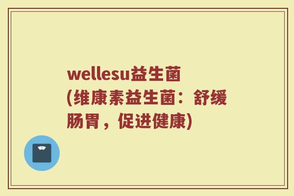 wellesu益生菌(维康素益生菌：舒缓肠胃，促进健康)