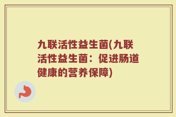 九联活性益生菌(九联活性益生菌：促进肠道健康的营养保障)