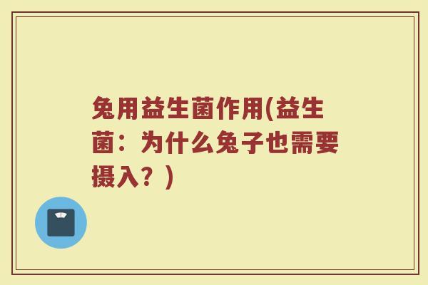 兔用益生菌作用(益生菌：为什么兔子也需要摄入？)