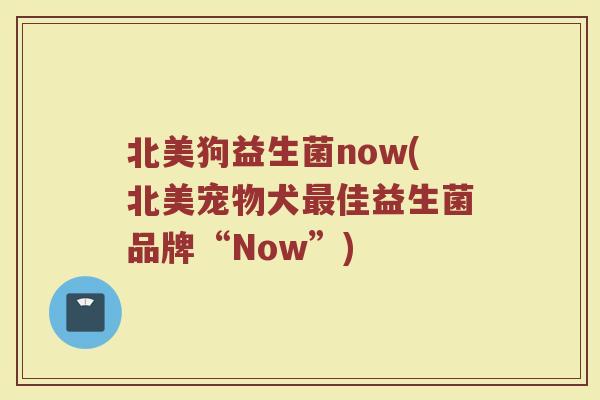 北美狗益生菌now(北美宠物犬最佳益生菌品牌“Now”)