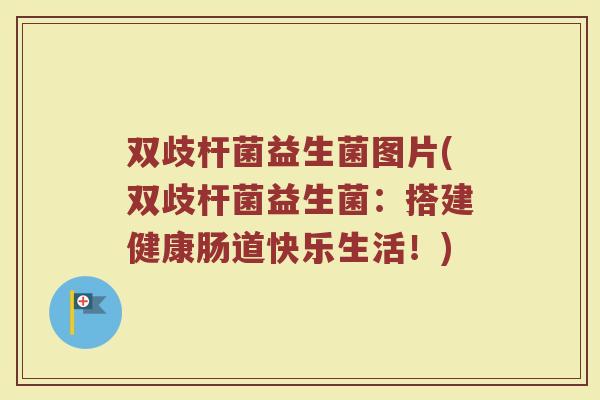 双歧杆菌益生菌图片(双歧杆菌益生菌：搭建健康肠道快乐生活！)