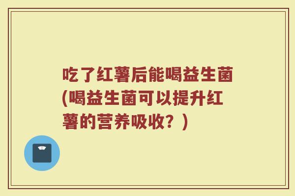 吃了红薯后能喝益生菌(喝益生菌可以提升红薯的营养吸收？)