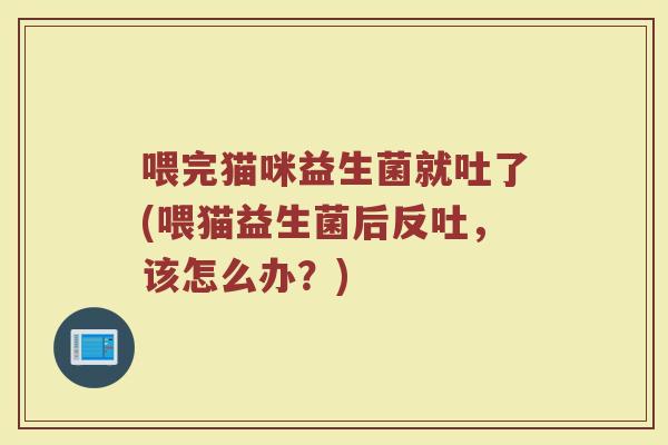 喂完猫咪益生菌就吐了(喂猫益生菌后反吐,该怎么办?) 喂完猫咪益生菌就吐了(喂猫益生菌后反吐,该怎么办?)