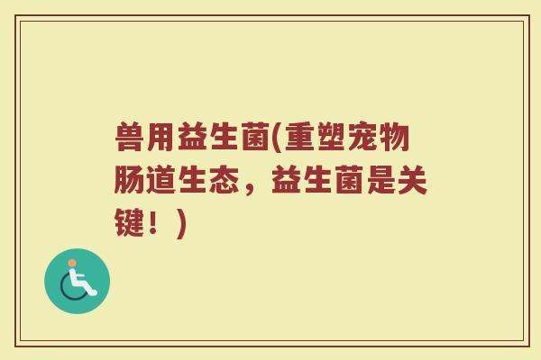兽用益生菌(重塑宠物肠道生态，益生菌是关键！)