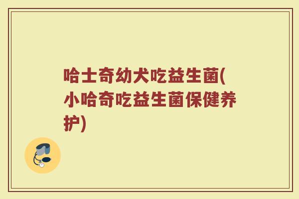 哈士奇幼犬吃益生菌(小哈奇吃益生菌保健养护)
