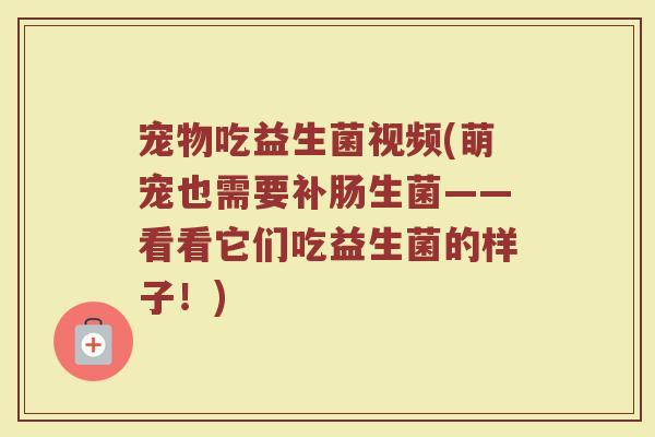 宠物吃益生菌视频(萌宠也需要补肠生菌——看看它们吃益生菌的样子！)