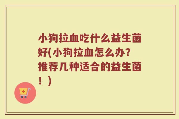 小狗拉血吃什么益生菌好(小狗拉血怎么办？推荐几种适合的益生菌！)