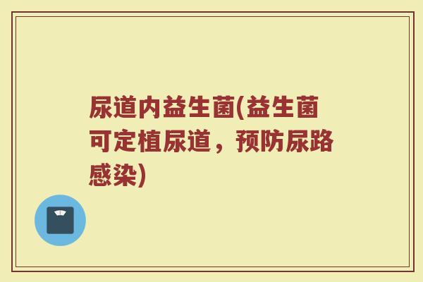 尿道内益生菌(益生菌可定植尿道，预防尿路感染)