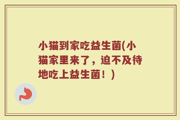 小猫到家吃益生菌(小猫家里来了，迫不及待地吃上益生菌！)