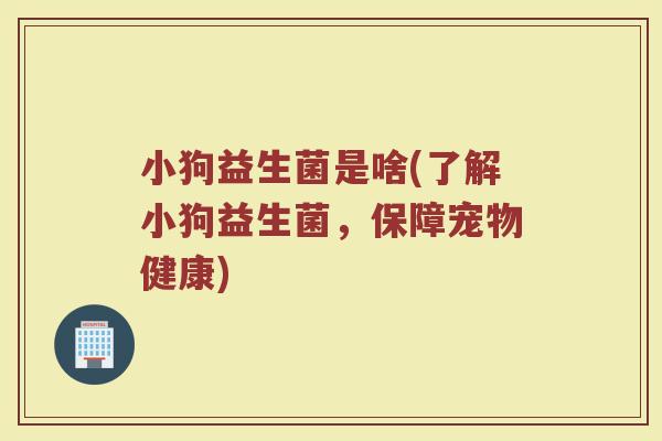 小狗益生菌是啥(了解小狗益生菌，保障宠物健康)