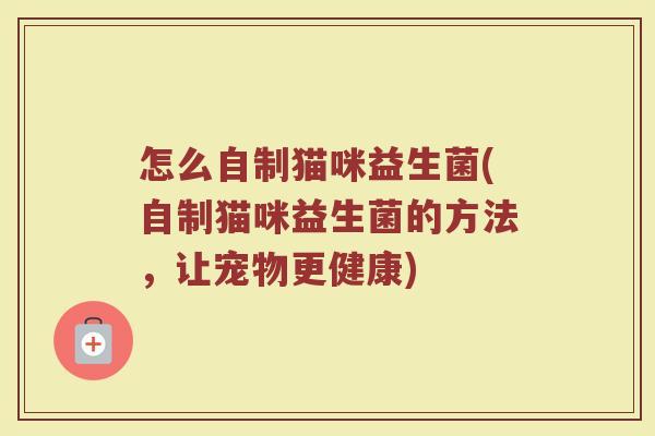 怎么自制猫咪益生菌(自制猫咪益生菌的方法，让宠物更健康)