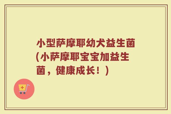 小型萨摩耶幼犬益生菌(小萨摩耶宝宝加益生菌，健康成长！)