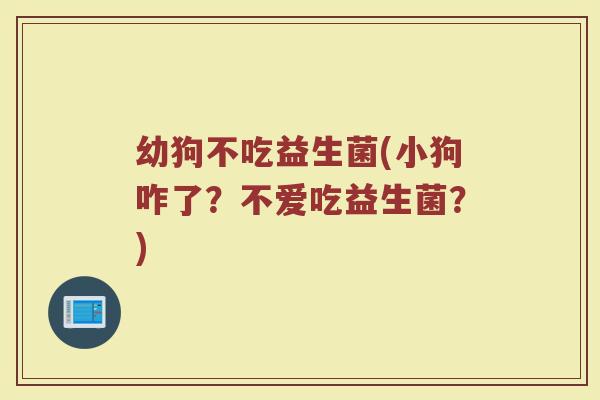 幼狗不吃益生菌(小狗咋了？不爱吃益生菌？)