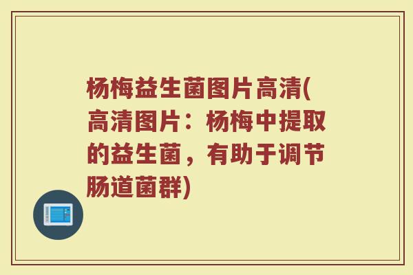 杨梅益生菌图片高清(高清图片：杨梅中提取的益生菌，有助于调节肠道菌群)