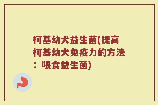 柯基幼犬益生菌(提高柯基幼犬力的方法:喂食益生菌) 柯基幼犬益生菌(提高柯基幼犬力的方法:喂食益生菌)