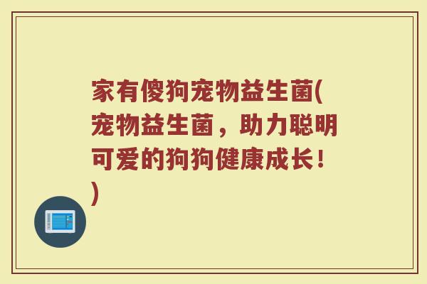 家有傻狗宠物益生菌(宠物益生菌，助力聪明可爱的狗狗健康成长！)