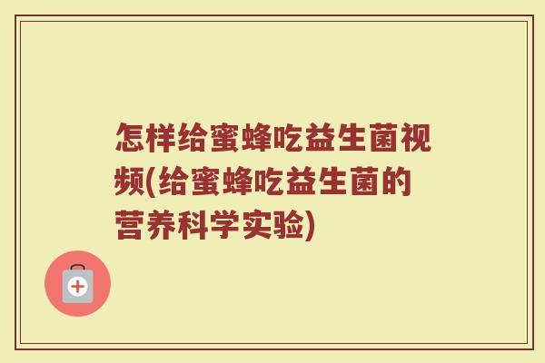 怎样给蜜蜂吃益生菌视频(给蜜蜂吃益生菌的营养科学实验)