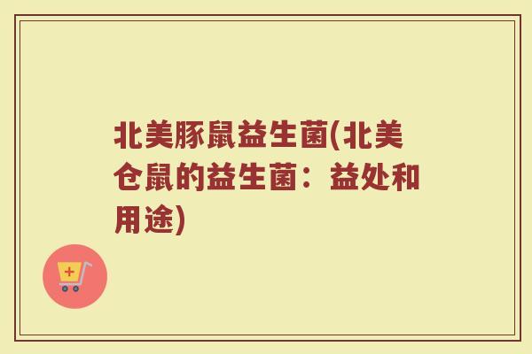 北美豚鼠益生菌(北美仓鼠的益生菌:益处和用途) 北美豚鼠益生菌(北美仓鼠的益生菌:益处和用途)
