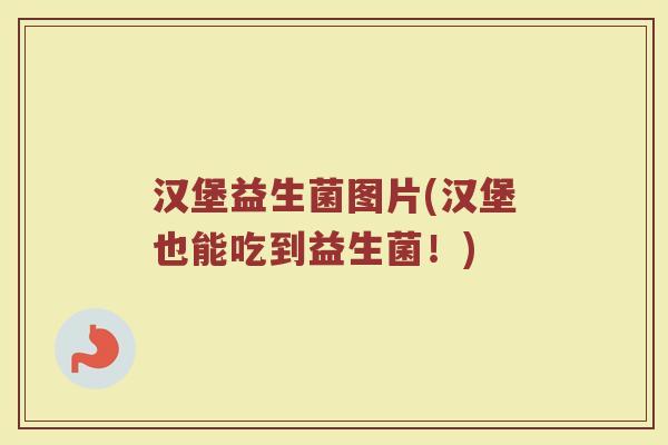 汉堡益生菌图片(汉堡也能吃到益生菌！)