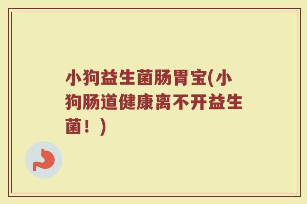 小狗益生菌肠胃宝(小狗肠道健康离不开益生菌!) 小狗益生菌肠胃宝(小狗肠道健康离不开益生菌!)