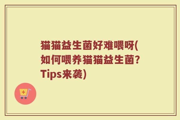 猫猫益生菌好难喂呀(如何喂养猫猫益生菌？Tips来袭)
