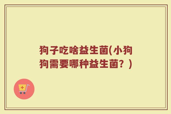 狗子吃啥益生菌(小狗狗需要哪种益生菌？)