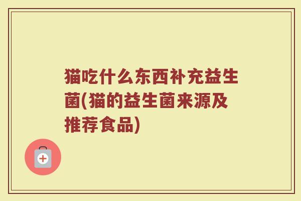猫吃什么东西补充益生菌(猫的益生菌来源及推荐食品)