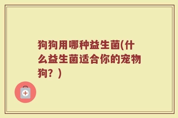 狗狗用哪种益生菌(什么益生菌适合你的宠物狗？)