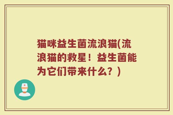 猫咪益生菌流浪猫(流浪猫的救星！益生菌能为它们带来什么？)