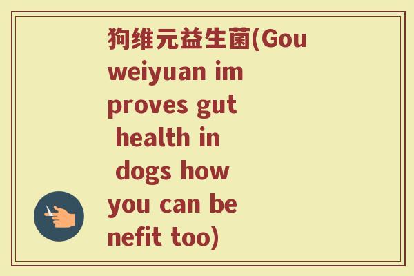 狗维元益生菌(Gouweiyuan improves gut health in dogs how you can benefit too)