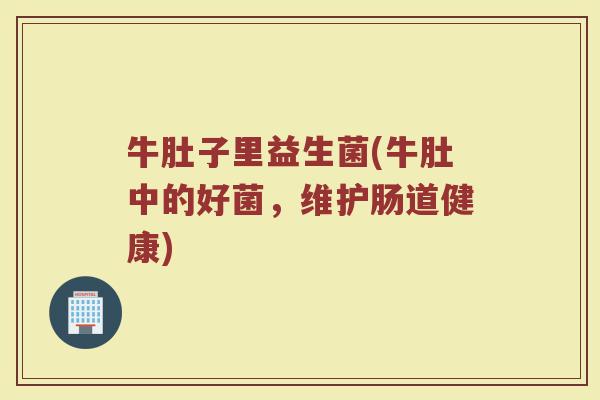 牛肚子里益生菌(牛肚中的好菌，维护肠道健康)