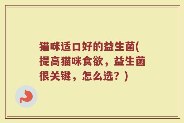 猫咪适口好的益生菌(提高猫咪食欲，益生菌很关键，怎么选？)