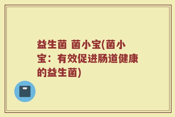 益生菌 菌小宝(菌小宝：有效促进肠道健康的益生菌)