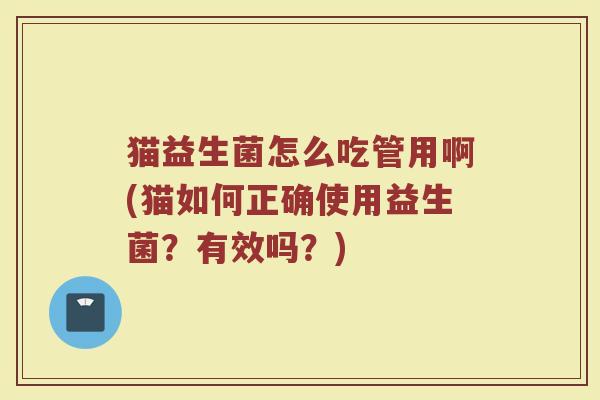 猫益生菌怎么吃管用啊(猫如何正确使用益生菌？有效吗？)
