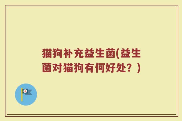 猫狗补充益生菌(益生菌对猫狗有何好处？)