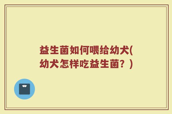 益生菌如何喂给幼犬(幼犬怎样吃益生菌？)