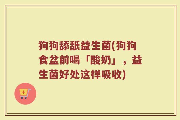 狗狗舔舐益生菌(狗狗食盆前喝「酸奶」,益生菌好处这样吸收) 狗狗舔舐益生菌(狗狗食盆前喝「酸奶」,益生菌好处这样吸收)