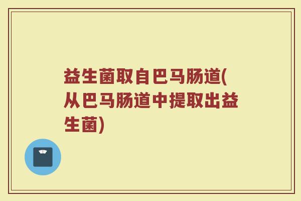 益生菌取自巴马肠道(从巴马肠道中提取出益生菌)