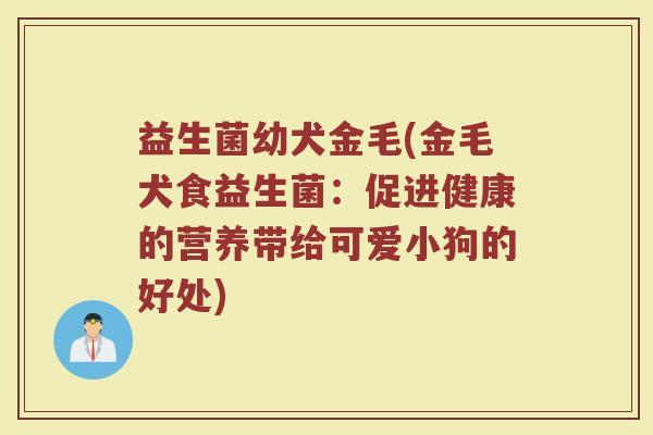 益生菌幼犬金毛(金毛犬食益生菌：促进健康的营养带给可爱小狗的好处)