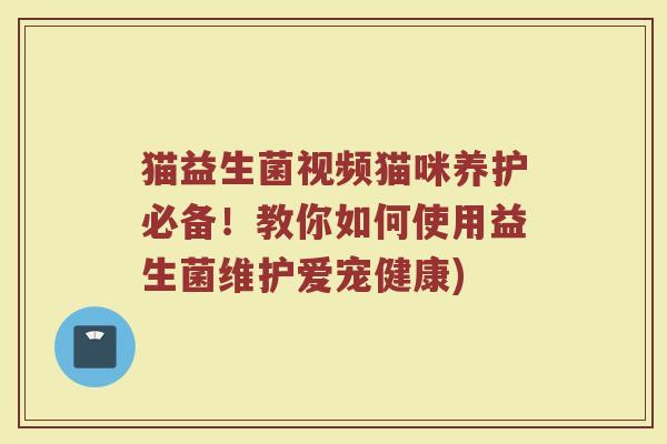 猫益生菌视频猫咪养护必备！教你如何使用益生菌维护爱宠健康)