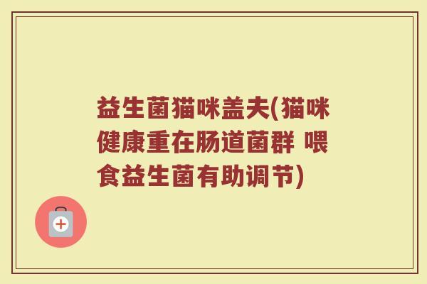 益生菌猫咪盖夫(猫咪健康重在肠道菌群 喂食益生菌有助调节)