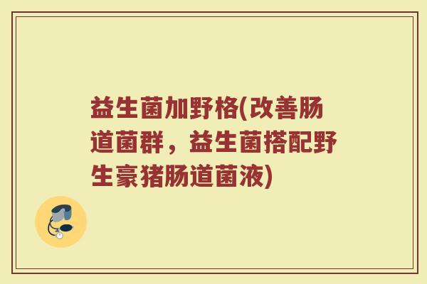 益生菌加野格(改善肠道菌群，益生菌搭配野生豪猪肠道菌液)