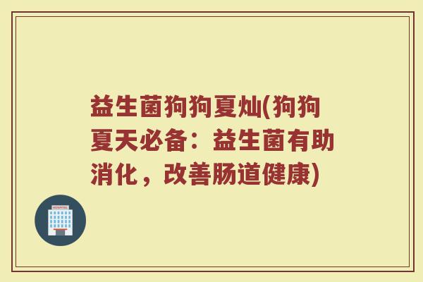 益生菌狗狗夏灿(狗狗夏天必备：益生菌有助消化，改善肠道健康)