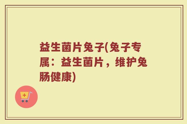 益生菌片兔子(兔子专属：益生菌片，维护兔肠健康)