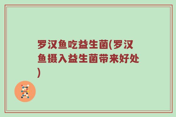 罗汉鱼吃益生菌(罗汉鱼摄入益生菌带来好处)