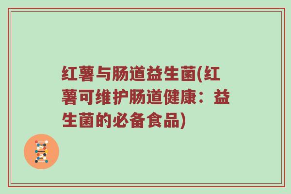 红薯与肠道益生菌(红薯可维护肠道健康:益生菌的必备食品) 红薯与肠道益生菌(红薯可维护肠道健康:益生菌的必备食品)